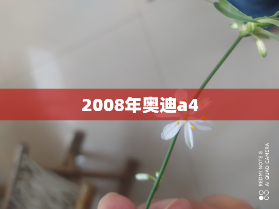 2008年奥迪a4