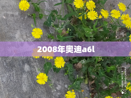 2008年奥迪a6l