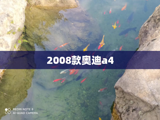 2008款奥迪a4