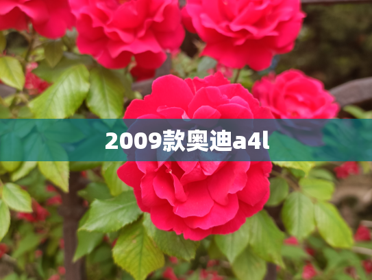 2009款奥迪a4l