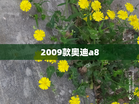 2009款奥迪a8