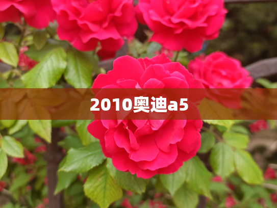 2010奥迪a5