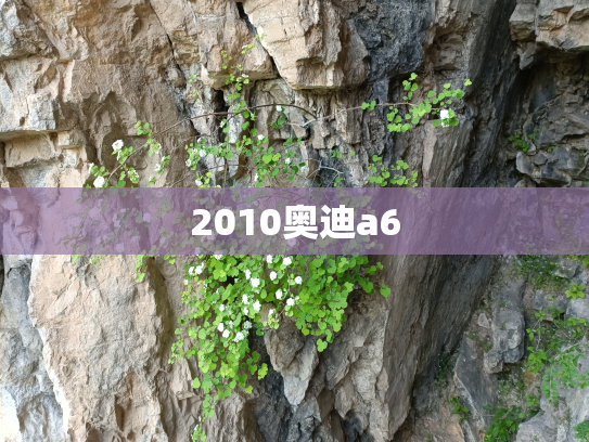2010奥迪a6