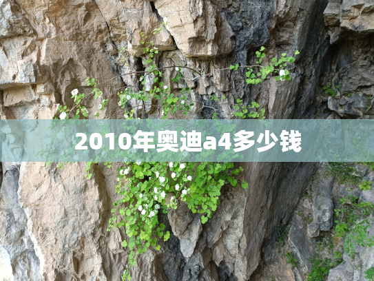 2010年奥迪a4多少钱