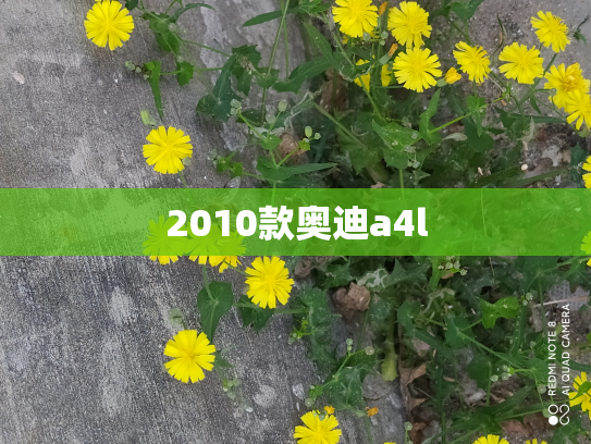 2010款奥迪a4l