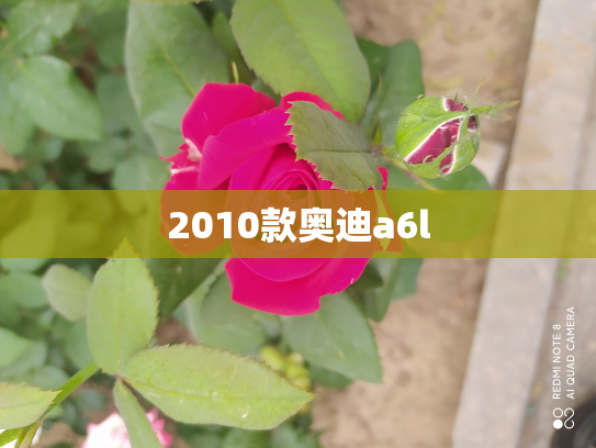 2010款奥迪a6l