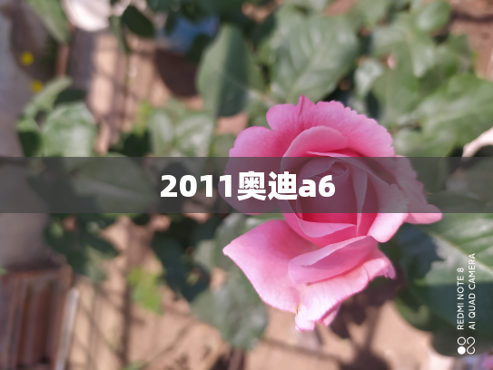 2011奥迪a6