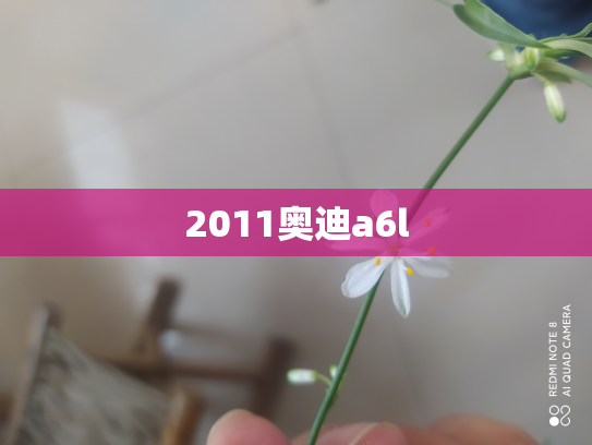 2011奥迪a6l
