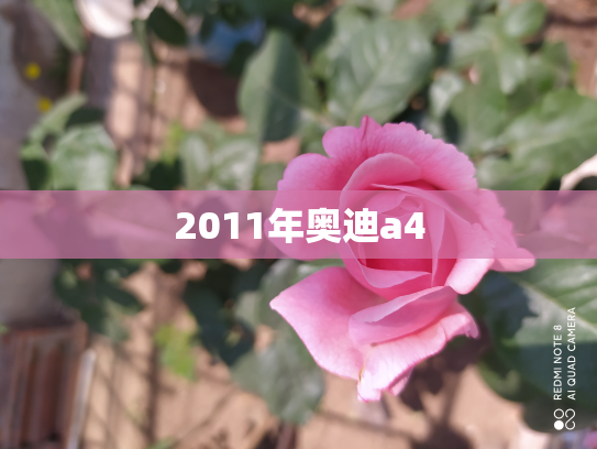 2011年奥迪a4