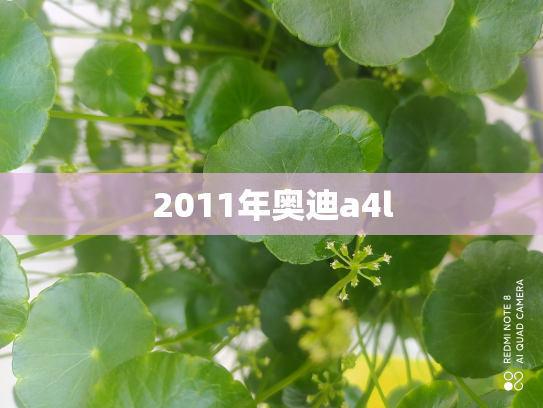 2011年奥迪a4l