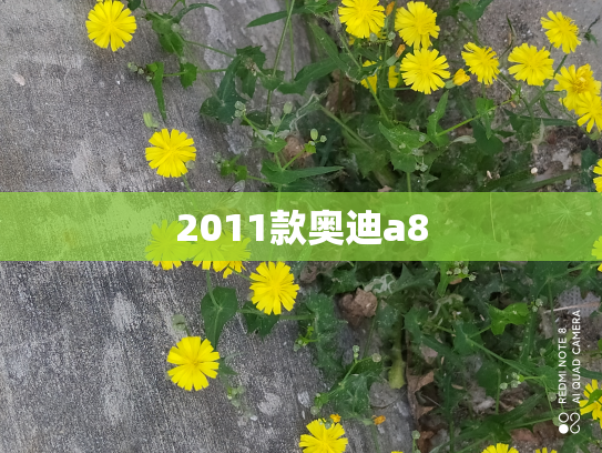 2011款奥迪a8