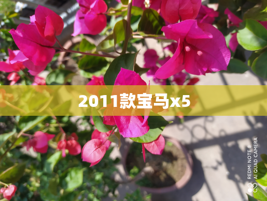 2011款宝马x5