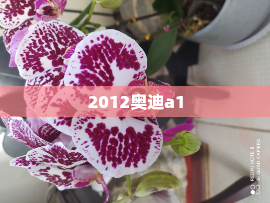 2012奥迪a1