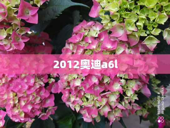 2012奥迪a6l