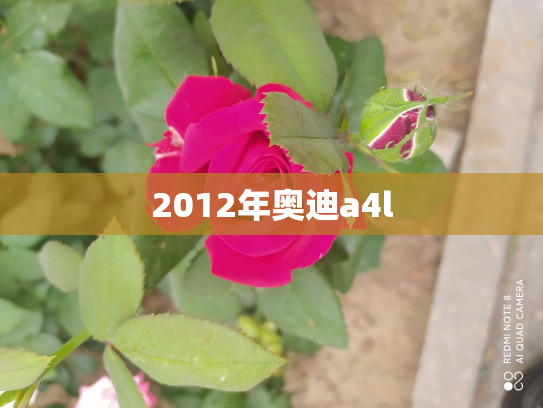 2012年奥迪a4l