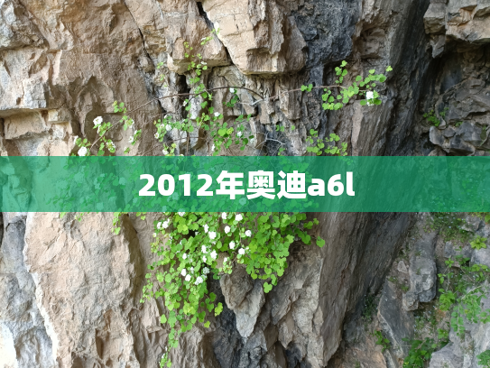 2012年奥迪a6l