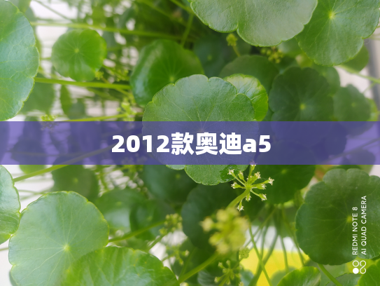 2012款奥迪a5