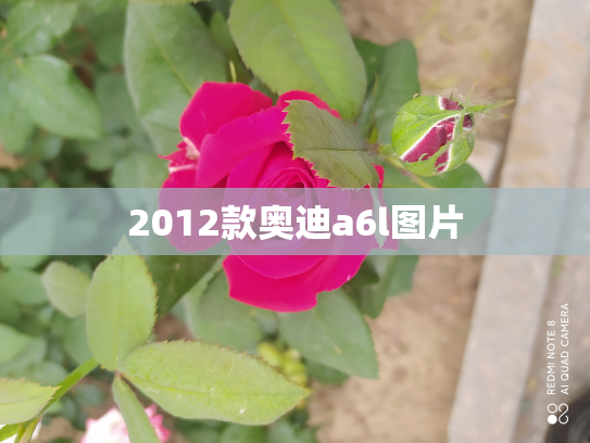 2012款奥迪a6l图片