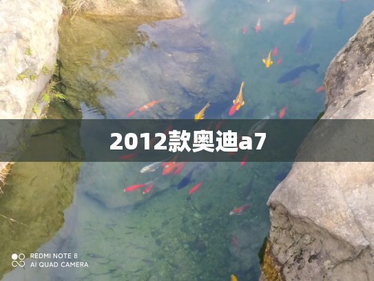 2012款奥迪a7