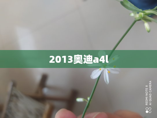 2013奥迪a4l