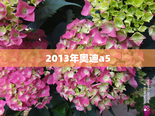 2013年奥迪a5