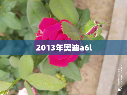 2013年奥迪a6l