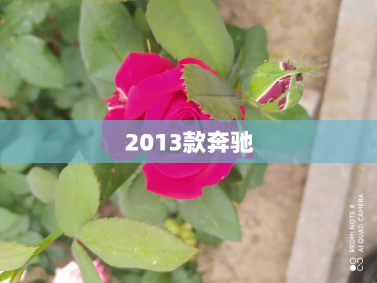 2013款奔驰