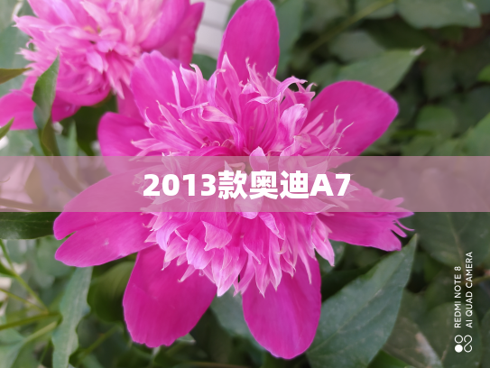 2013款奥迪A7