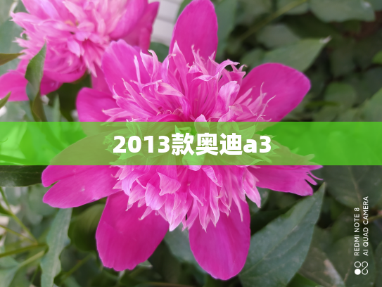 2013款奥迪a3