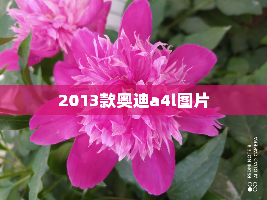 2013款奥迪a4l图片