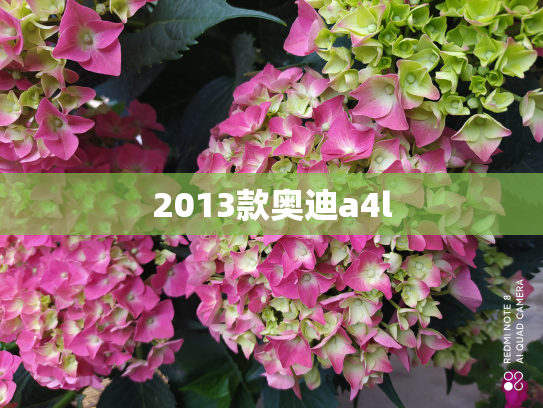 2013款奥迪a4l