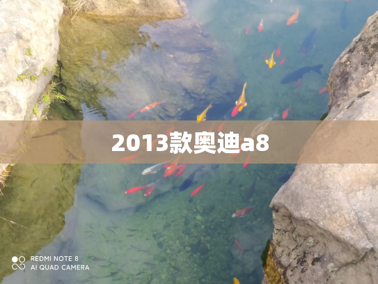2013款奥迪a8