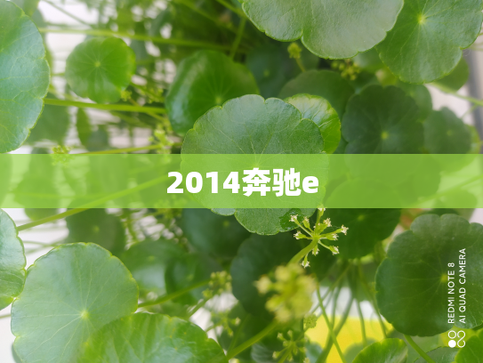 2014奔驰e