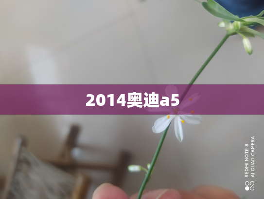 2014奥迪a5