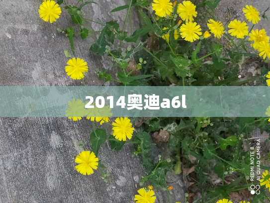 2014奥迪a6l
