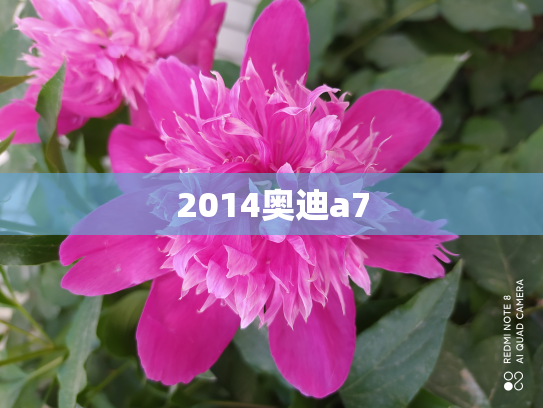 2014奥迪a7