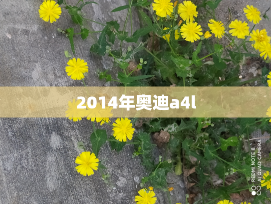 2014年奥迪a4l