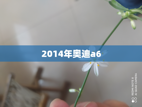 2014年奥迪a6