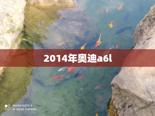 2014年奥迪a6l