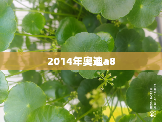 2014年奥迪a8