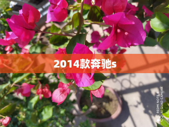 2014款奔驰s
