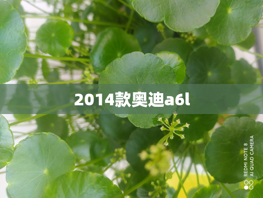 2014款奥迪a6l