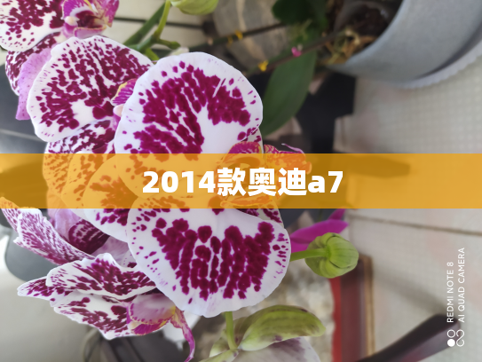 2014款奥迪a7