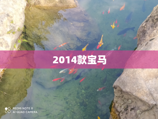 2014款宝马
