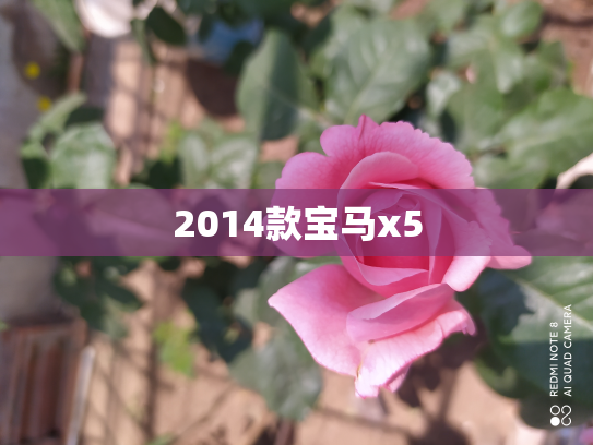 2014款宝马x5