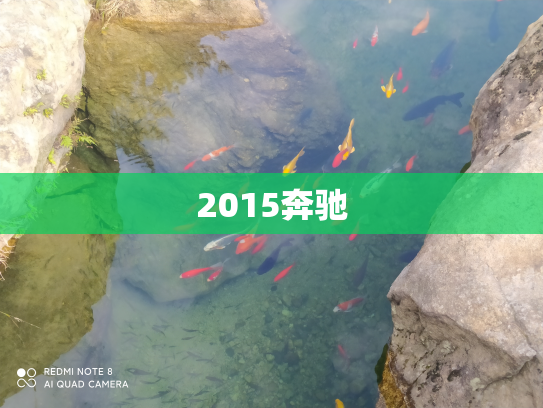 2015奔驰