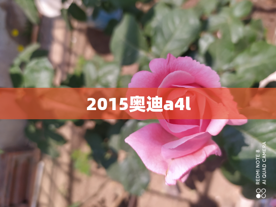 2015奥迪a4l