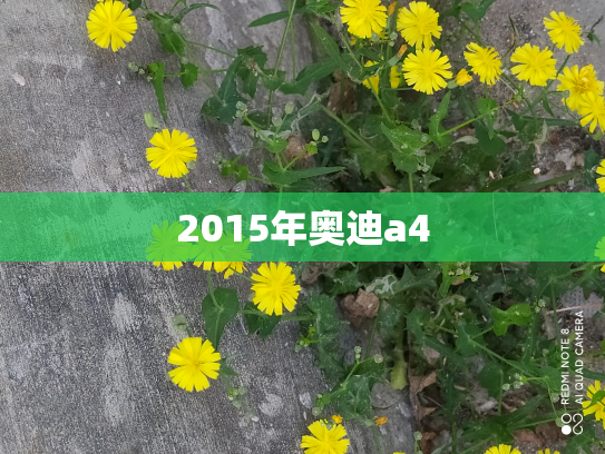 2015年奥迪a4