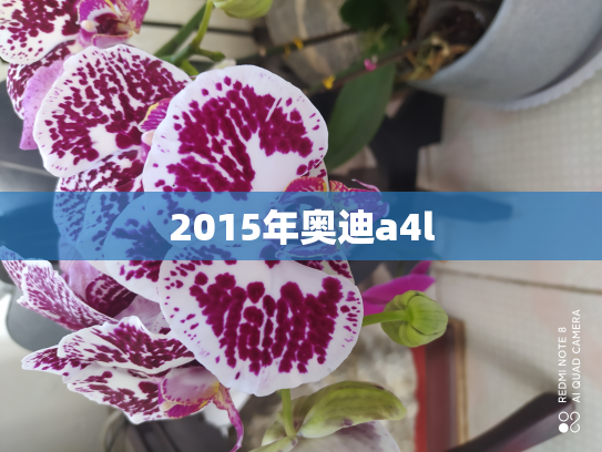 2015年奥迪a4l