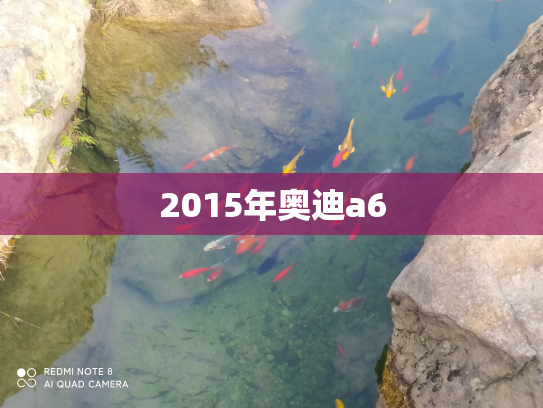 2015年奥迪a6